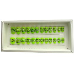 Kunstige Negle Blooming Design 