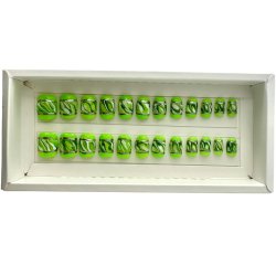 Kunstige Negle Blooming Design 