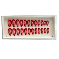 Kunstige Negle Blooming Design 