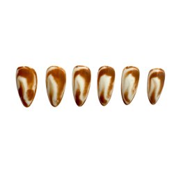 Kunstige Negle Blooming Design 