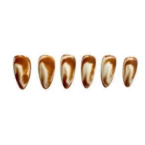 Kunstige Negle Blooming Design 