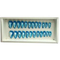 Kunstige Negle Blooming Design 