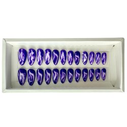 Kunstige Negle Blooming Design 