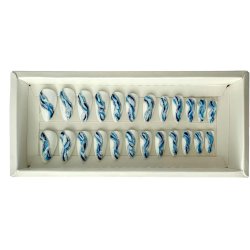 Kunstige Negle Blooming Design 