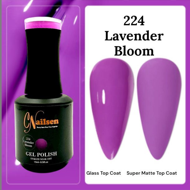 224 Lavender Bloom