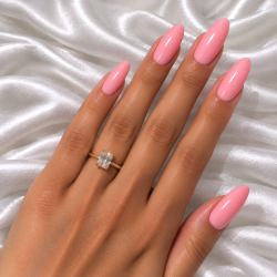 241 Shell Pink