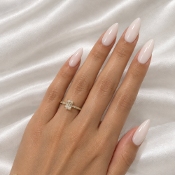 304 Seashell 