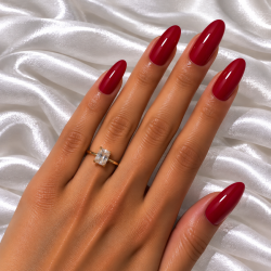 330 Red Rose