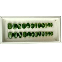 Kunstige Negle Cat Eye 10D Design