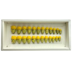 Kunstige Negle Revne Design