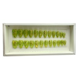 Kunstige Negle Krystal Design