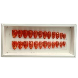 Kunstige Negle Krystal Design