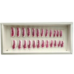 Kunstige Negle Fjer Design