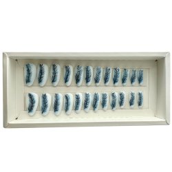 Kunstige Negle Fjer Design