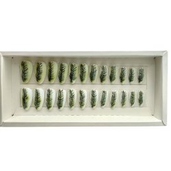 Kunstige Negle Fjer Design