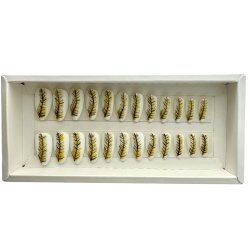 Kunstige Negle Fjer Design