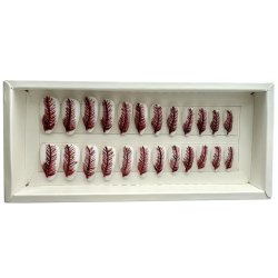 Kunstige Negle Fjer Design