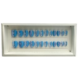 Kunstige Negle Flakes Design