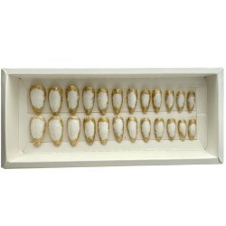 Kunstige Negle Glitter Design