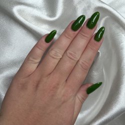129 Green Forest