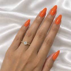 368 Sunlight Coral