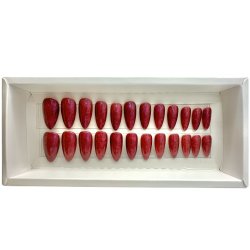 Kunstige Negle Pearl Design