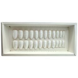 Kunstige Negle Pearl Design