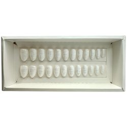 Kunstige Negle Pearl Design