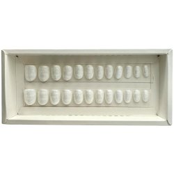 Kunstige Negle Pearl Design