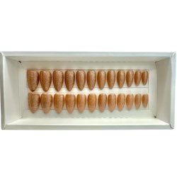 Kunstige Negle Pearl Design