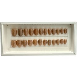 Kunstige Negle Pearl Design