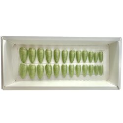 Kunstige Negle Pearl Design