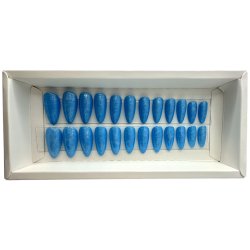 Kunstige Negle Pearl Design