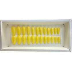 Kunstige Negle Pearl Design 