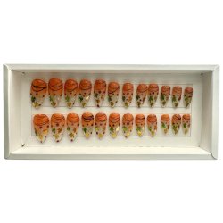 Kunstige Negle Sson Design