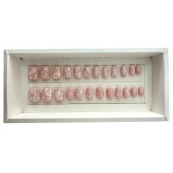 Kunstige Negle Two Colors