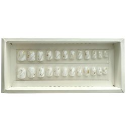 Kunstige Negle Wedding or Konfirmation