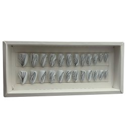 Kunstige Negle Wedding or Konfirmation